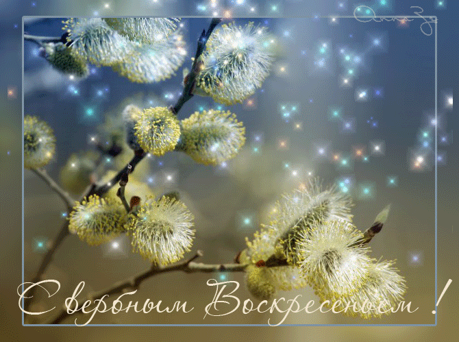 открытки на вербное воскресенье. пожелания к празднику вербное воскресенье