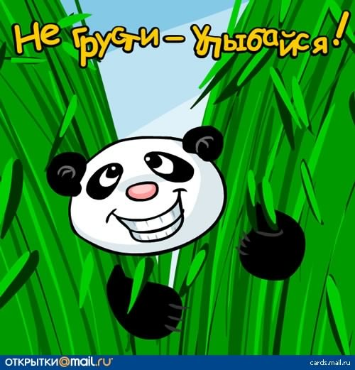 не грусти. не скучай. все будет хорошо. улыбнись. все пройдет