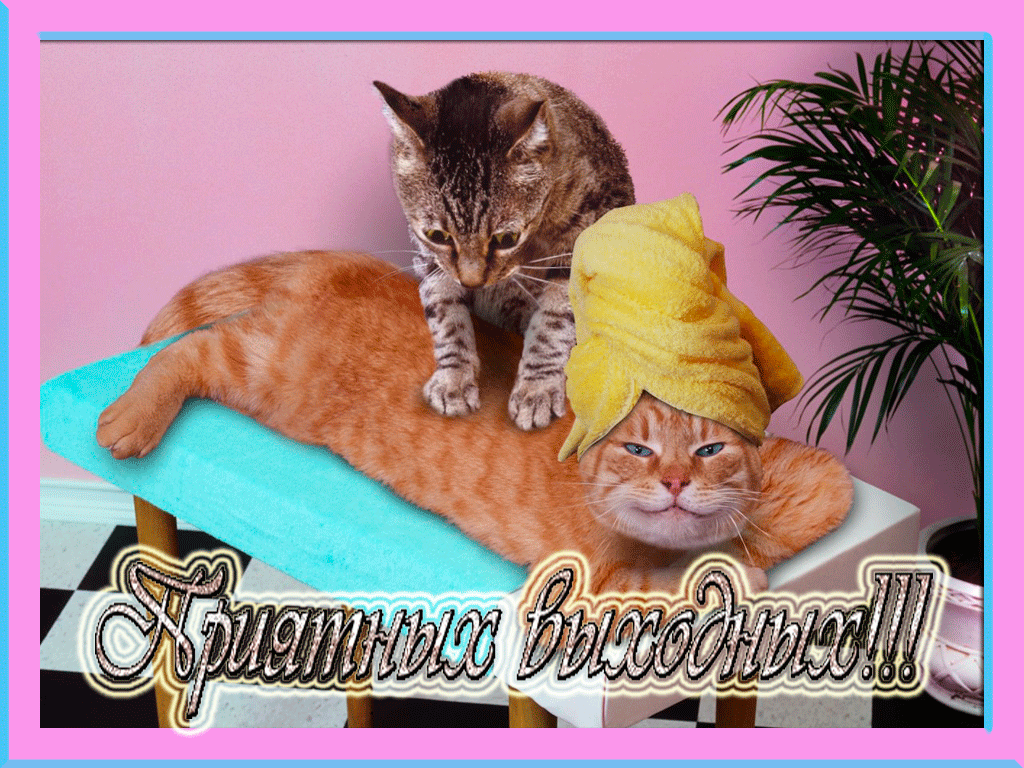 Приятных выходных