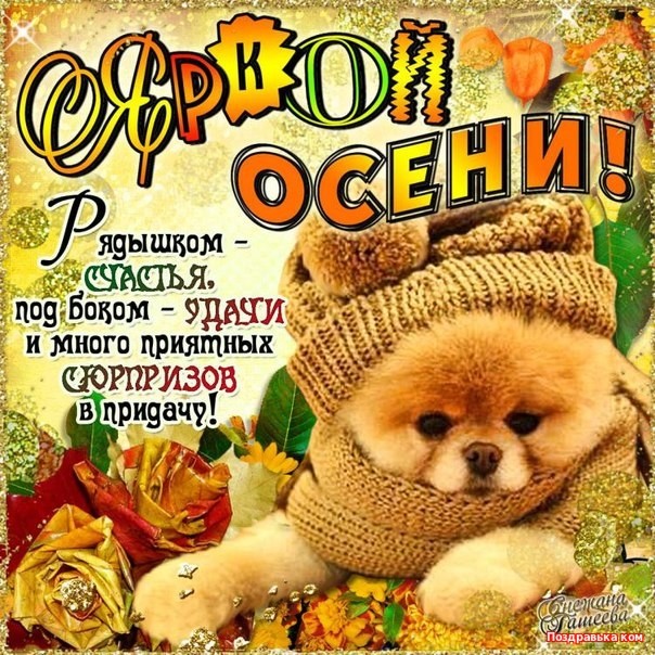 С началом осени