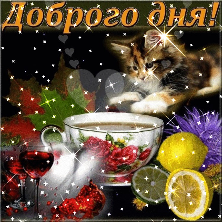 добрый день. открытки добрый день.доброго дня. хорошего дня. удачного дня