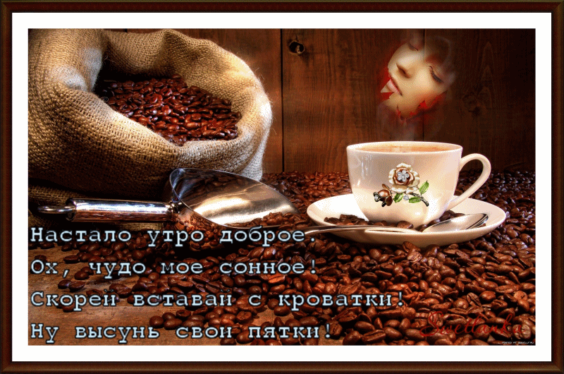 доброе утро. открытки с добрым утром. с добрым утром. желаю доброго утра