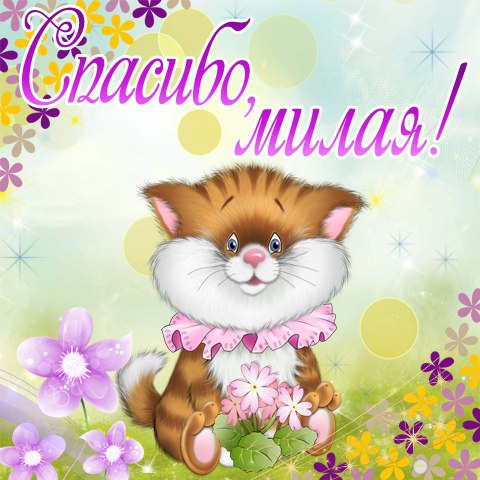 открытки спасибо, thank you, merci, благодарю тебя, большое спасибо