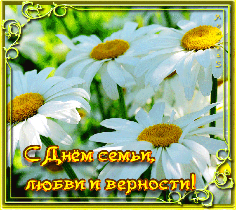 поздравления с днем семьи. моя семья. с днем семьи, любви и верности. поздрав...