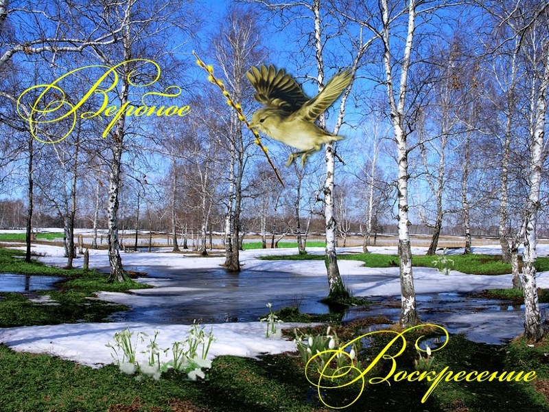 Без названия