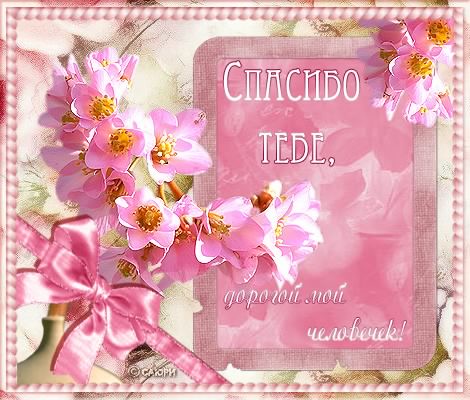 открытки спасибо, thank you, merci, благодарю тебя, большое спасибо