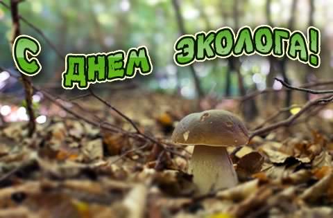 день эколога. открытки к празднику