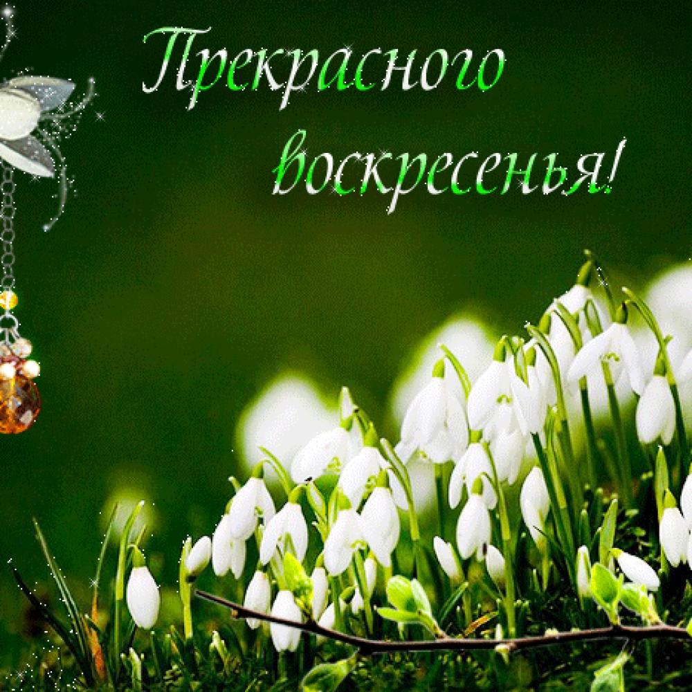 Счастливого воскресенья