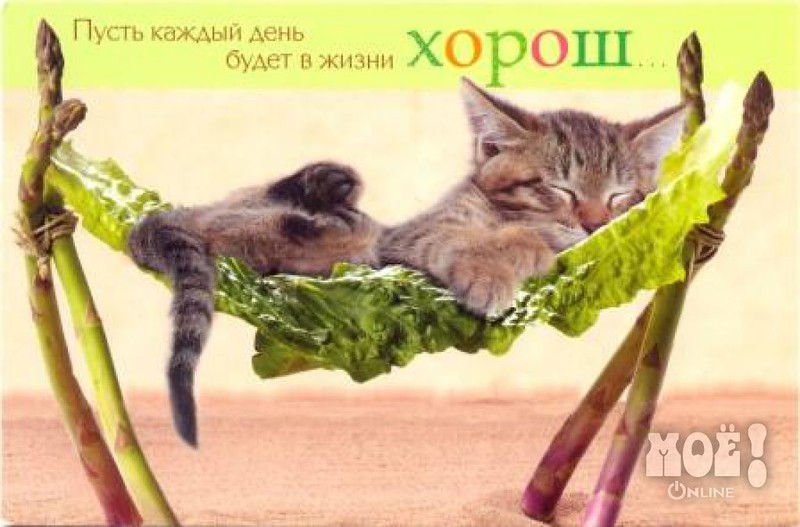 Приятных выходных