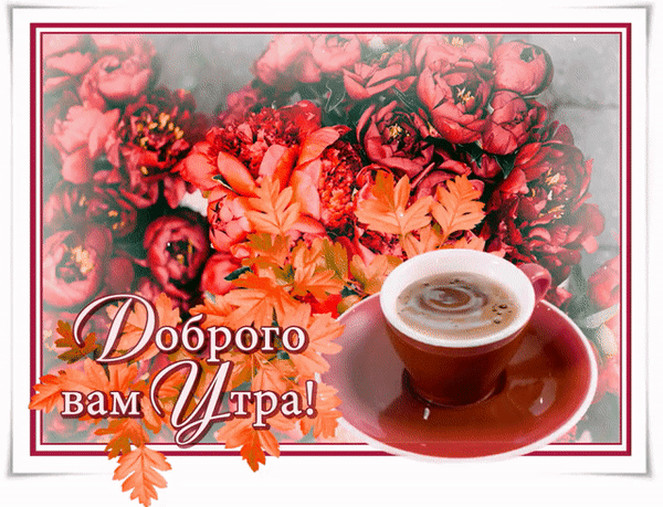 доброе утро. открытки с добрым утром. с добрым утром. желаю доброго утра