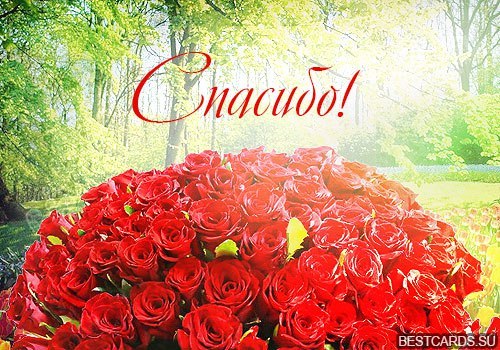 открытки спасибо, thank you, merci, благодарю тебя, большое спасибо