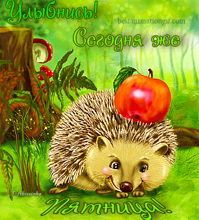 улыбнись. улыбайся. smile. улыбка. улыбайся и мир улыбнется тебе