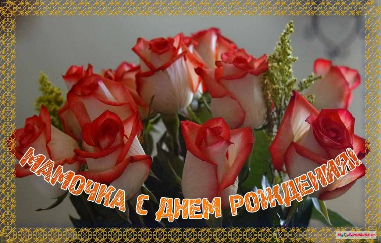 папа, с днем рождения. любимому папе в день рождения. открытки на день рожден...