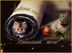 спокойной ночи. открытки с пожеланием спокойной ночи. приятных снов. сладких снов. приятных сновидений. доброй ночи. нежных снов. волшебных снов. спите сладко 