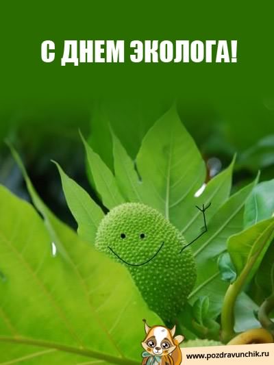 день эколога. открытки к празднику
