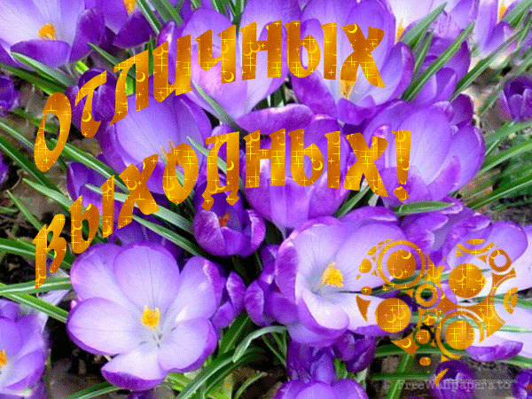 Приятных выходных