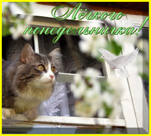 понедельник. открытки к понедельнику. опять понедельник. легкого