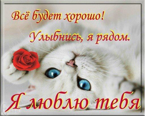 открытки любимым с любовью. я тебя люблю. i love you. люблю больше жизни