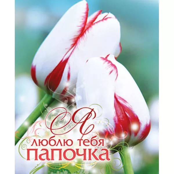 Без названия