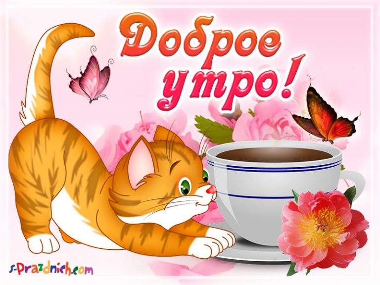 доброе утро. открытки с добрым утром. с добрым утром. желаю доброго утра