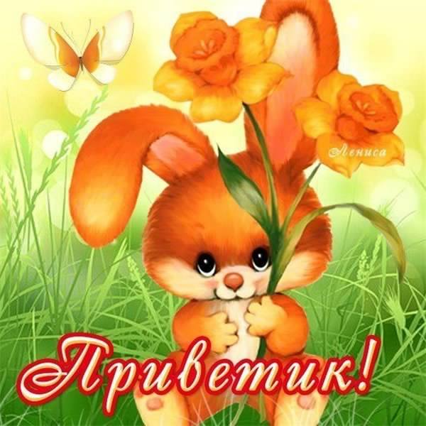 открытки привет, как дела. как настроение. пожелание хорошего дня