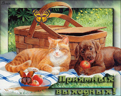 Приятных выходных