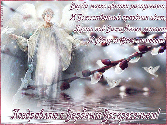 Без названия