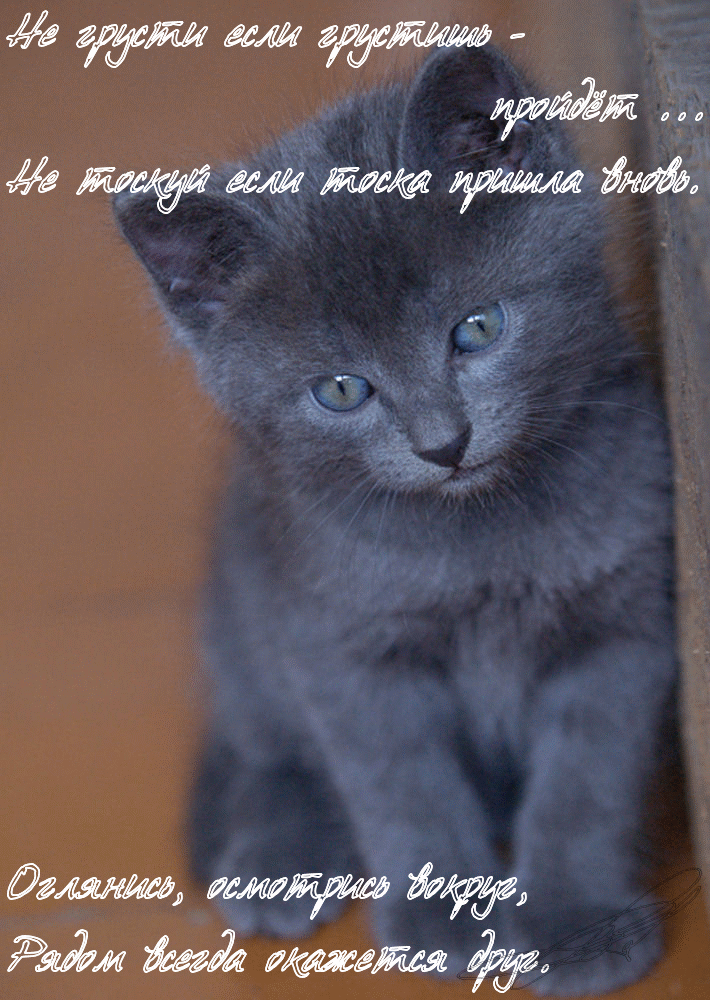 не грусти. не скучай. все будет хорошо. улыбнись. все пройдет