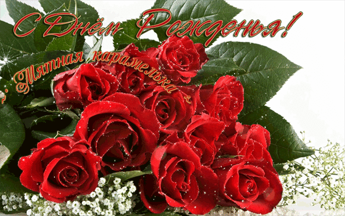 и, пожелания с днем рождения девушке, цветы