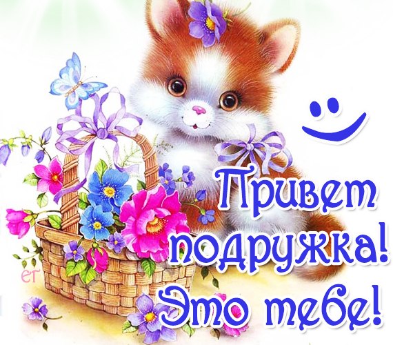 открытки привет, как дела. как настроение. пожелание хорошего дня