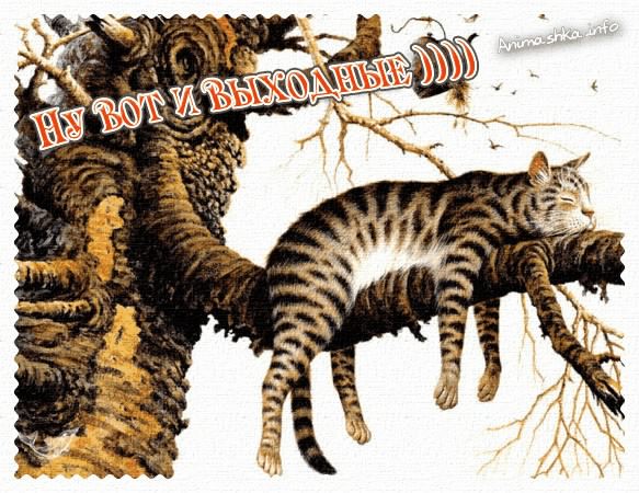 Приятных выходных