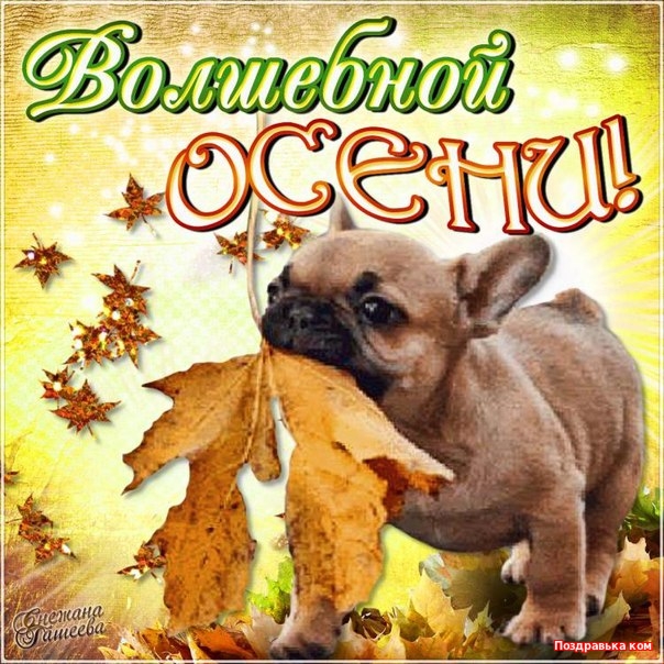 С началом осени