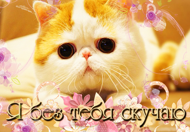 открытки я скучаю. мне скучно без тебя. я соскучилась по тебе . i miss you.