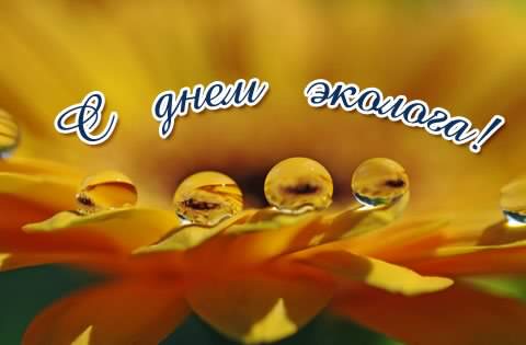 день эколога. открытки к празднику