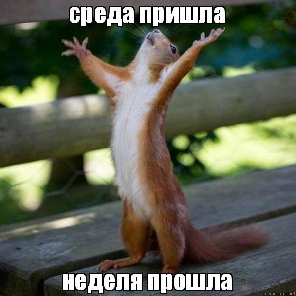 С веселой средой