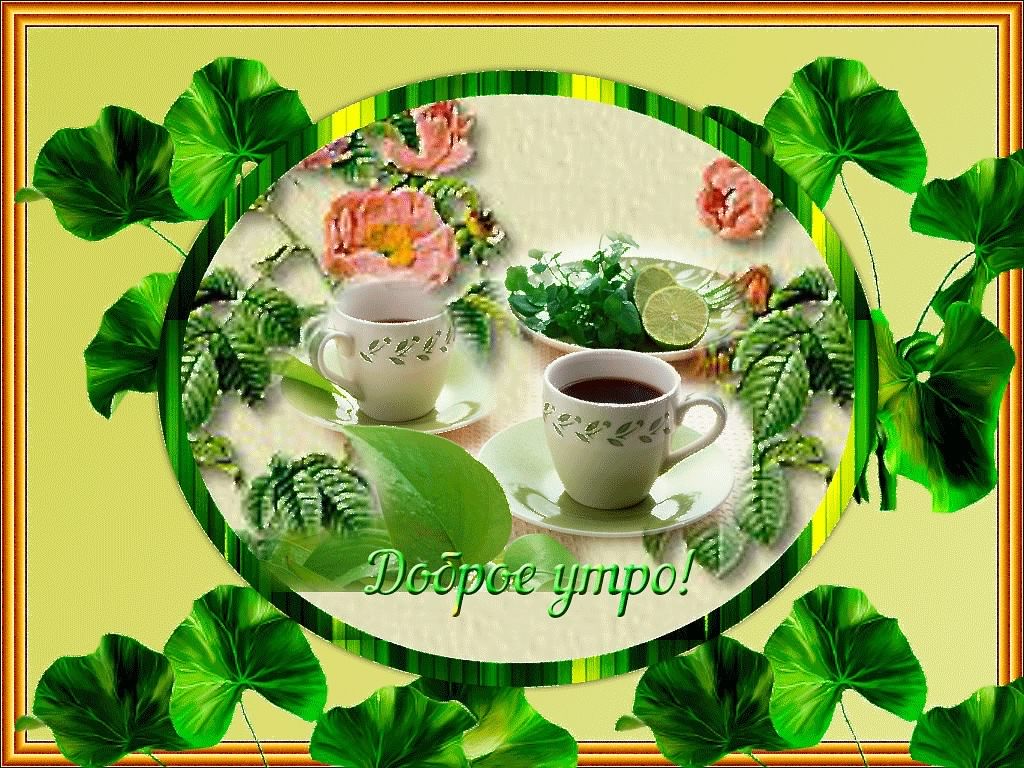 доброе утро. открытки с добрым утром. с добрым утром. желаю доброго утра