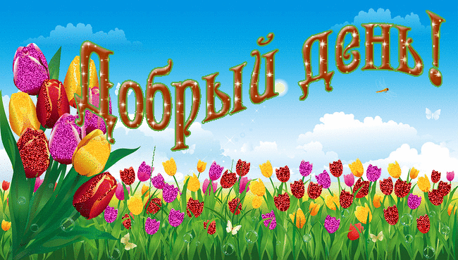 добрый день. открытки добрый день.доброго дня. хорошего дня. удачного дня