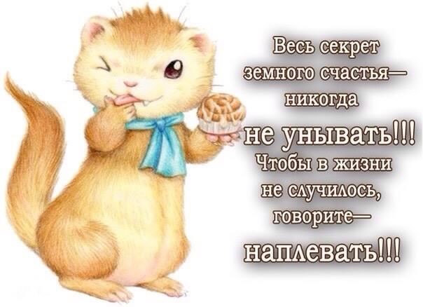 не грусти. не скучай. все будет хорошо. улыбнись. все пройдет