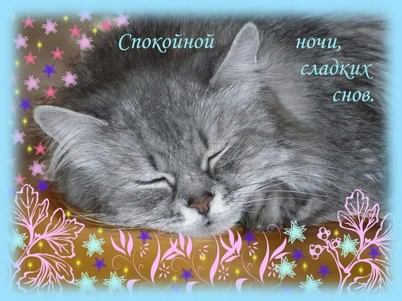 Открытки спокойной ночи. открытки с пожеланием спокойной ночи. приятных снов. сладких снов. приятных сновидений. доброй ночи. нежных снов. волшебных снов. спите сладко  спокойной ночи. открытки с пожеланием спокойной ночи. приятных снов. сладких снов. приятных сновидений. доброй ночи. нежных снов. волшебных снов. спите сладко 