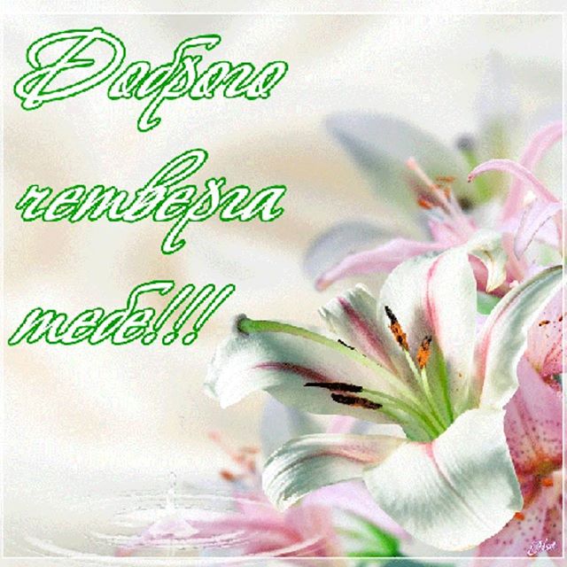 Открытки про четверг