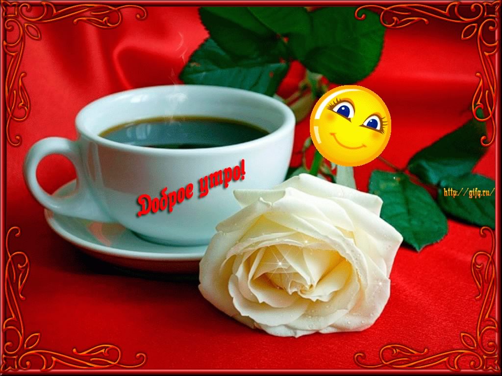 доброе утро. открытки с добрым утром. с добрым утром. желаю доброго утра