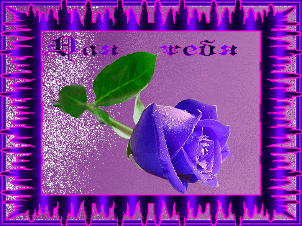 счастья. открытки с пожеланием счастья