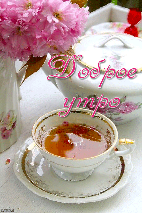 доброе утро. открытки с добрым утром. с добрым утром. желаю доброго утра