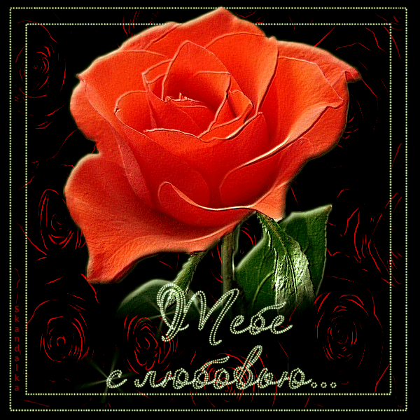 открытки с любовью, с любовью для тебя,