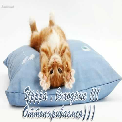 Приятных выходных