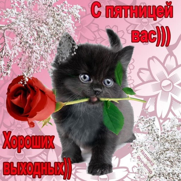 Открытки про пятницу