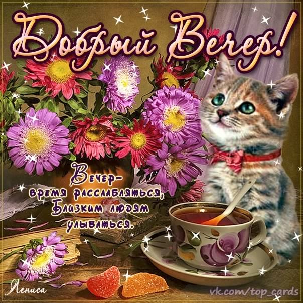 добрый вечер. приятного вечера. доброго вам вечера. хорошего вечера. приятног...