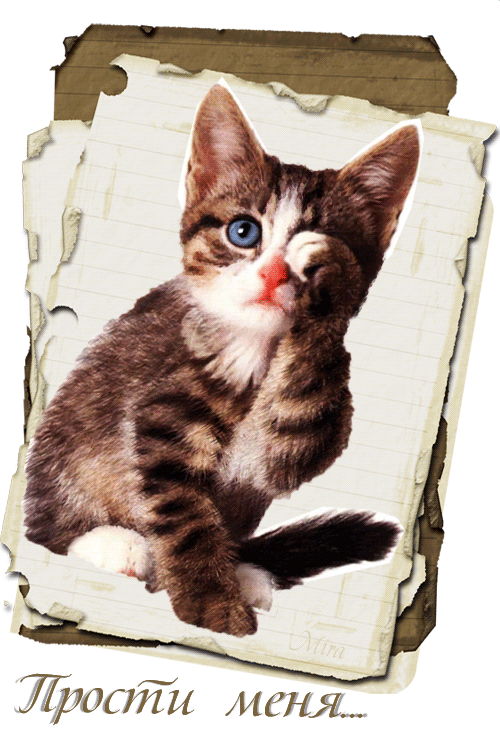 прости. прости меня. открытки прости. прости пожалуйста. прости меня пожалуйс...