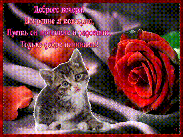 добрый вечер. приятного вечера. доброго вам вечера. хорошего вечера. приятного летнего вечера. отдыхайте с удовольствием .хорошего вечера, приятного общения