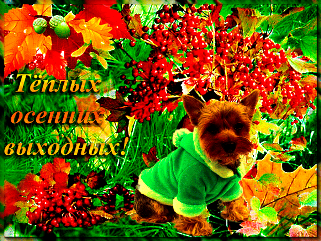 Приятных выходных